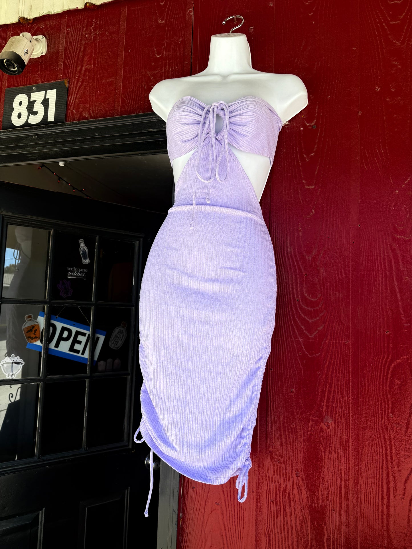 Purple Dress